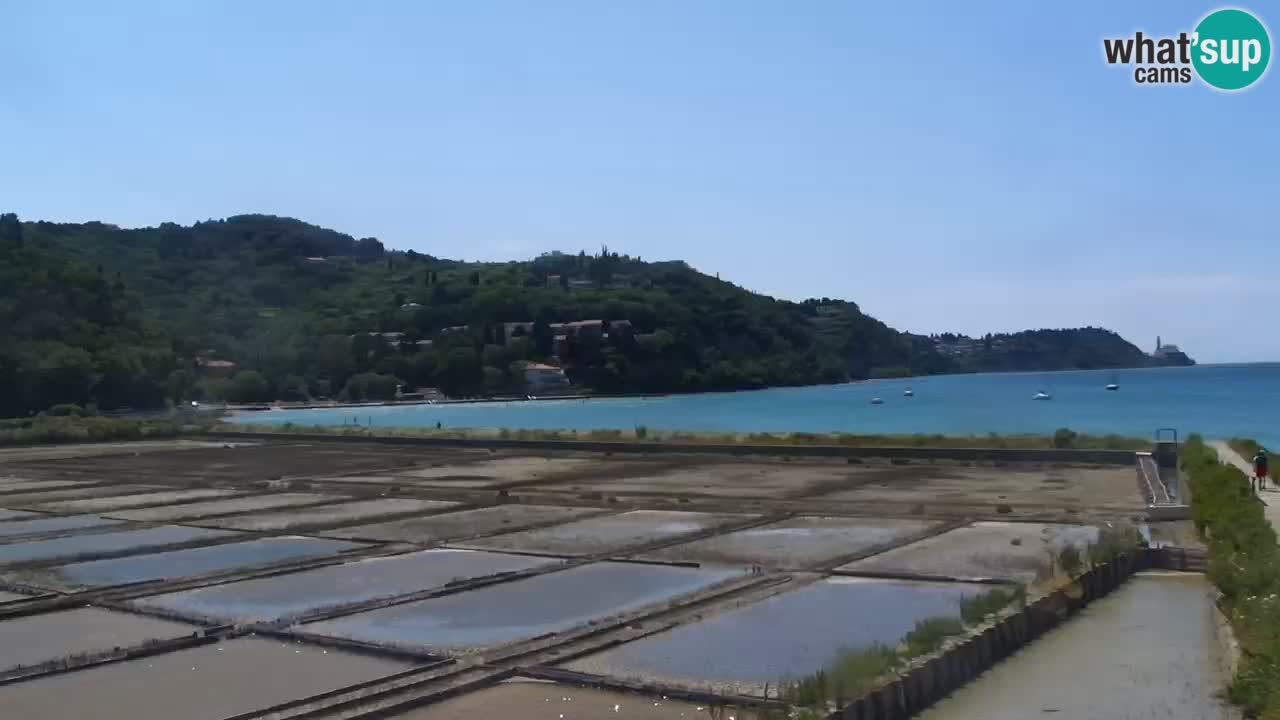 Krajinski park Strunjan u živo