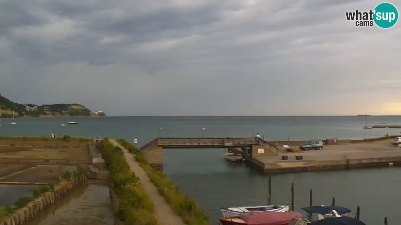 Krajinski park Strunjan u živo