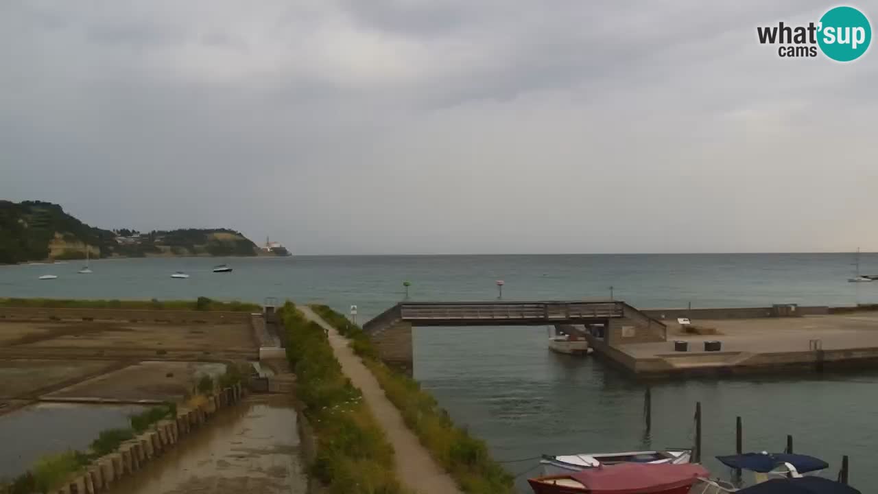 Krajinski park Strunjan