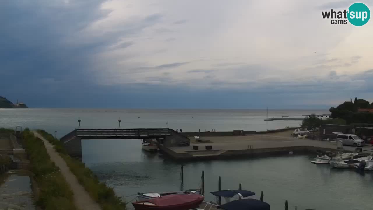 Krajinski park Strunjan v živo
