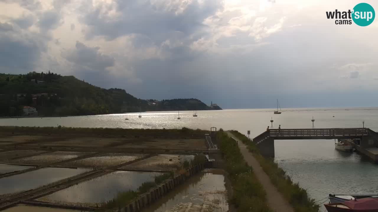 Krajinski park Strunjan v živo
