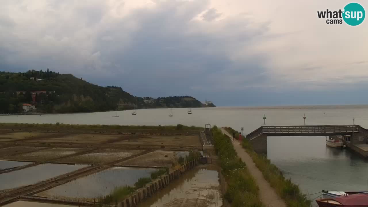 Krajinski park Strunjan