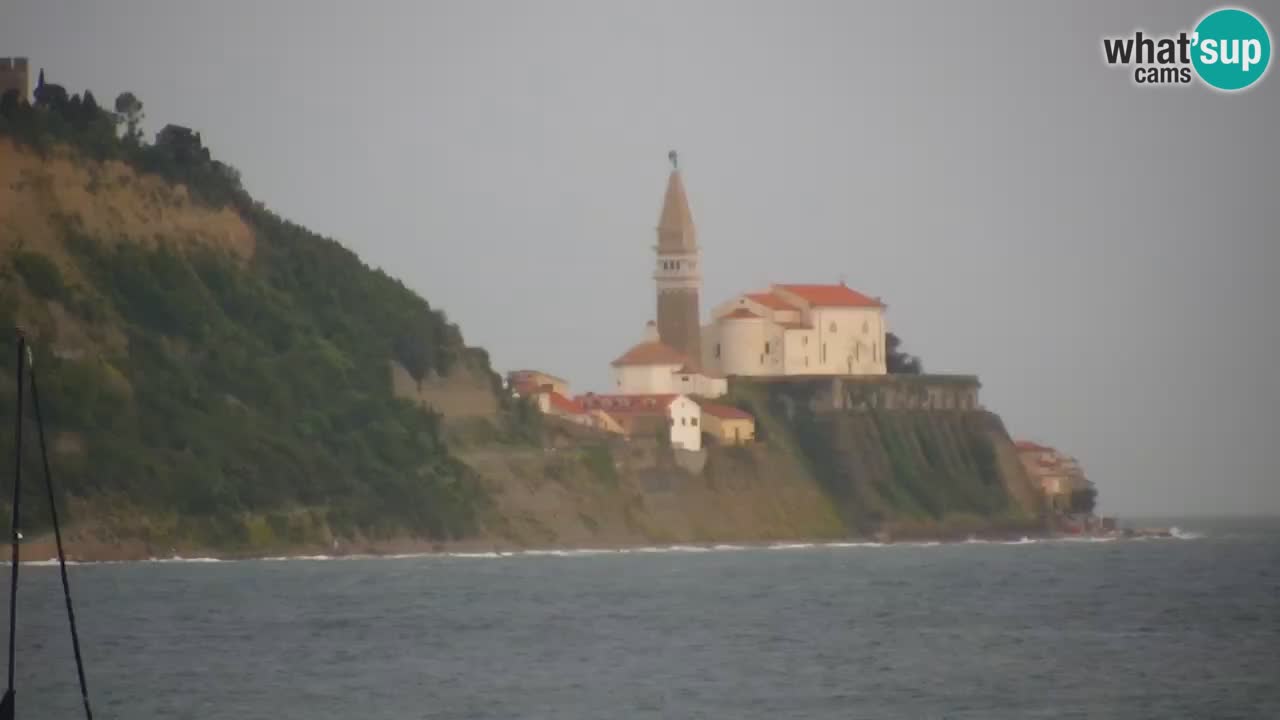Krajinski park Strunjan u živo