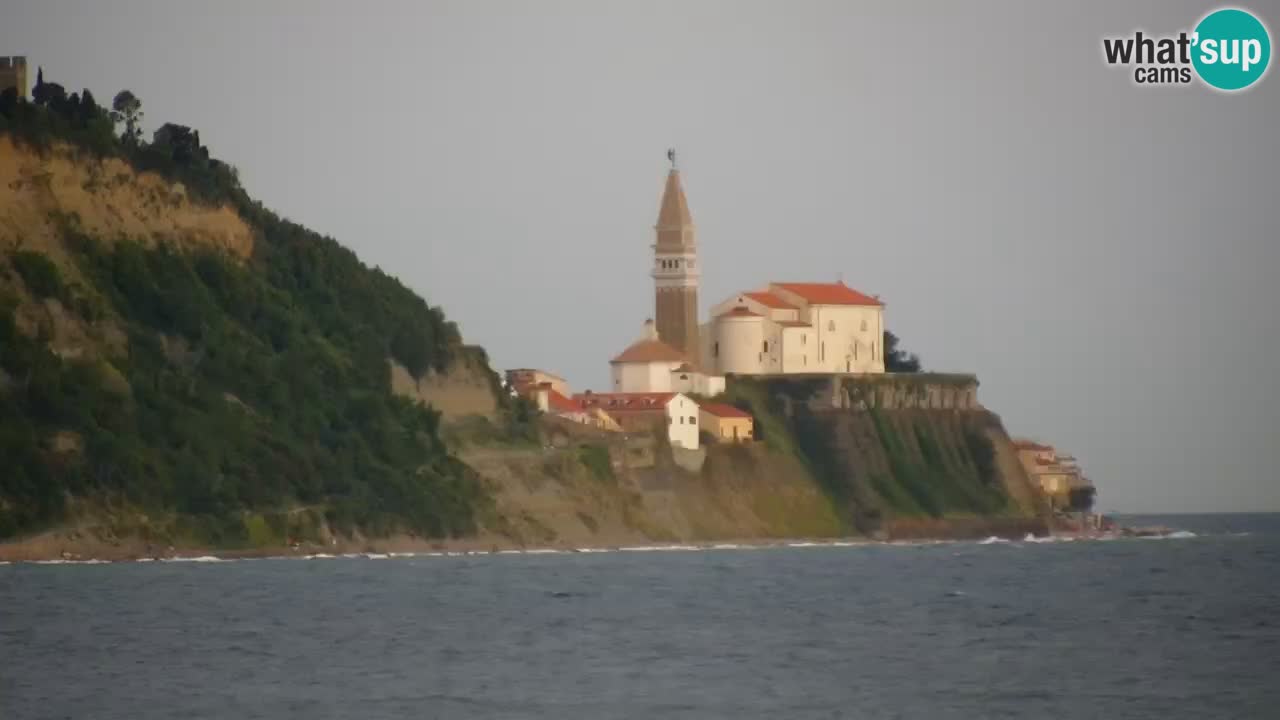 Krajinski park Strunjan u živo
