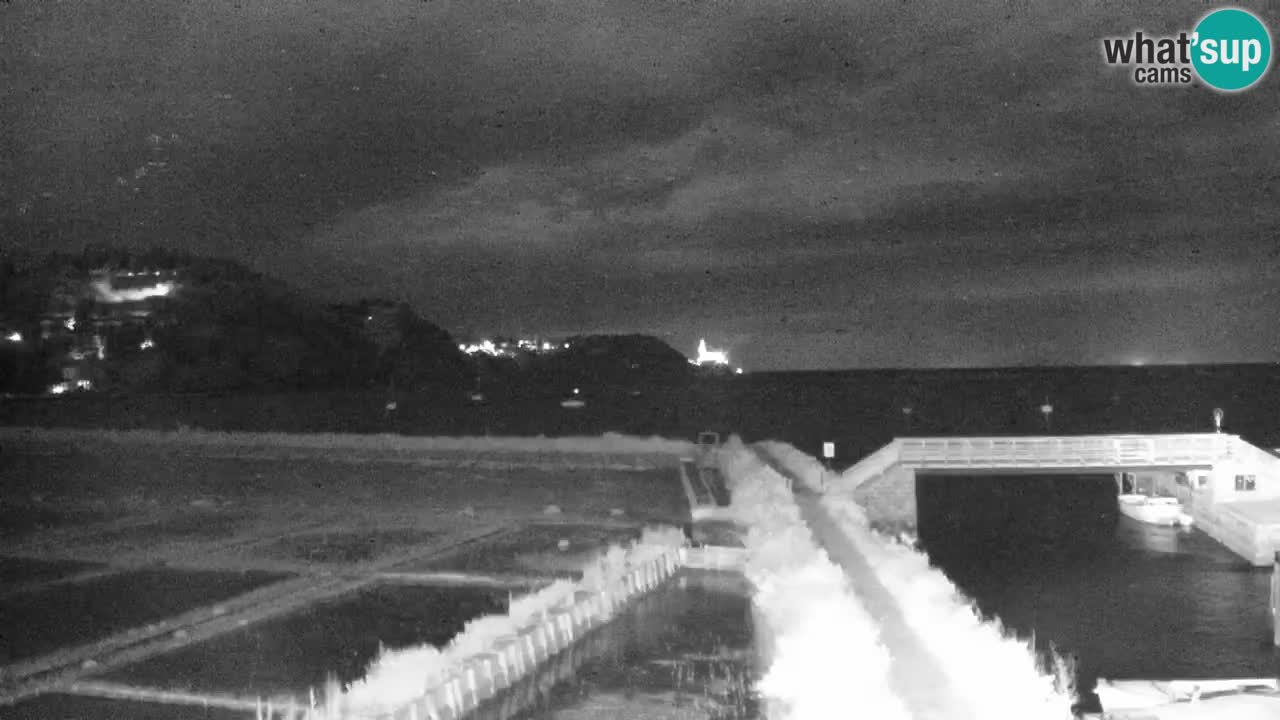 Krajinski park Strunjan