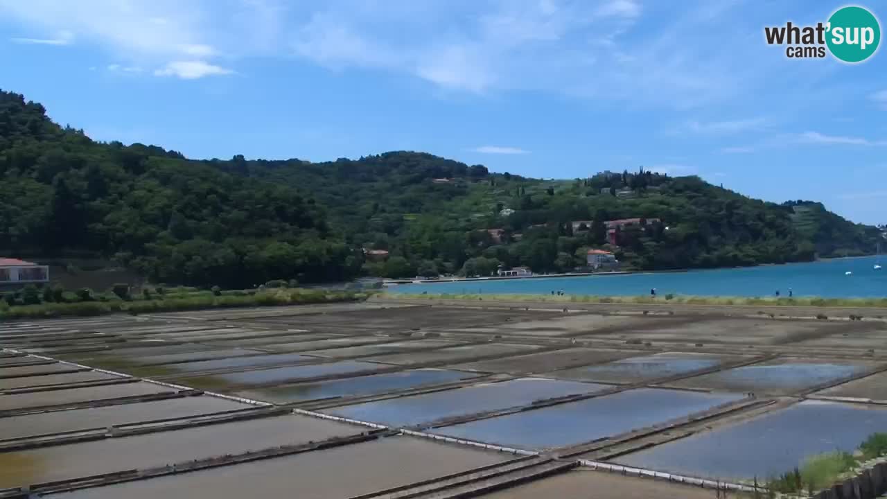 Krajinski park Strunjan