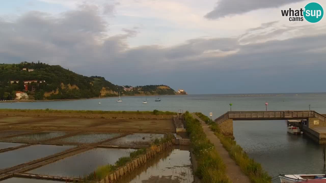 Krajinski park Strunjan u živo