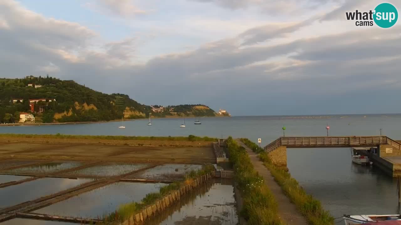 Krajinski park Strunjan