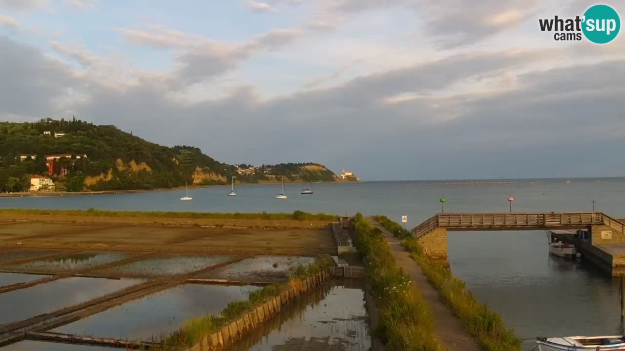 Krajinski park Strunjan