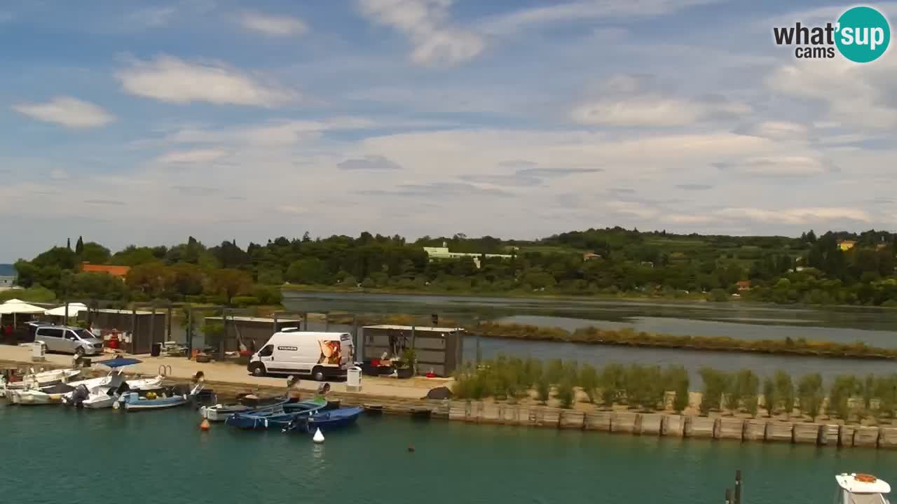 Krajinski park Strunjan u živo