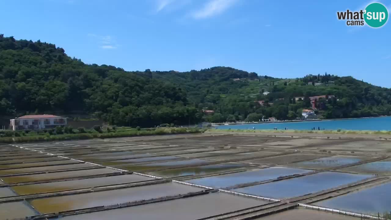 Krajinski park Strunjan