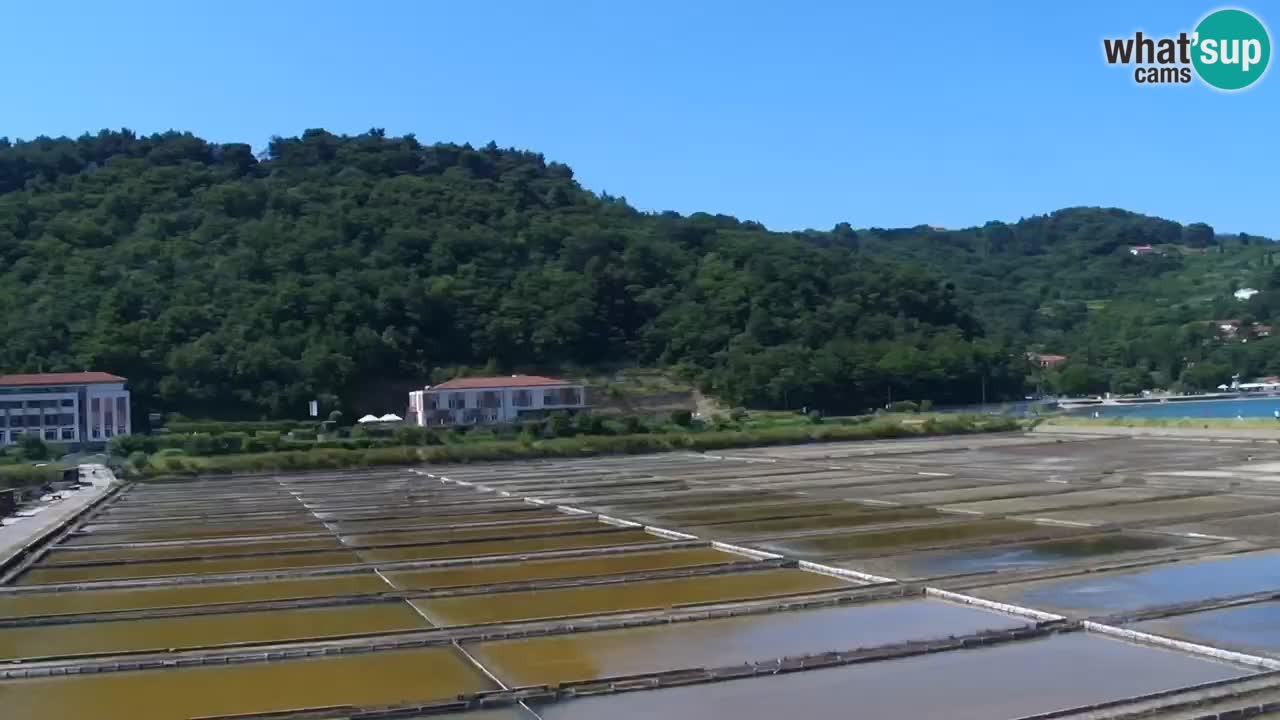 Parco naturale Strugnano