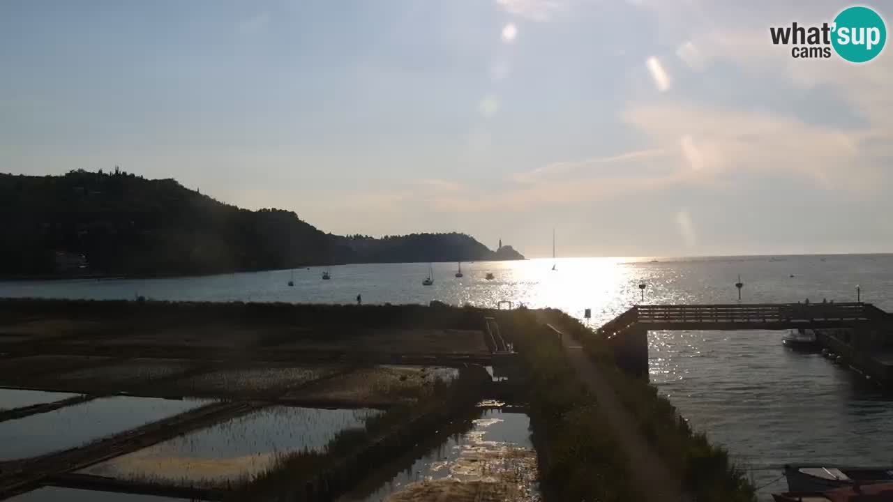 Krajinski park Strunjan u živo