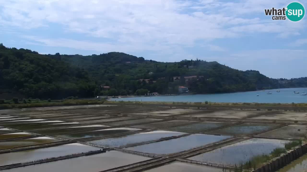 Krajinski park Strunjan u živo