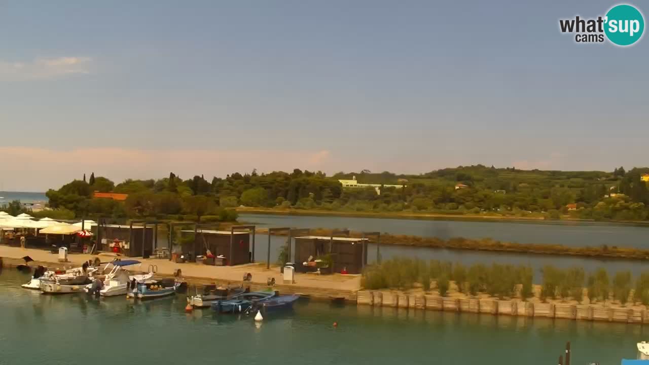 Krajinski park Strunjan u živo