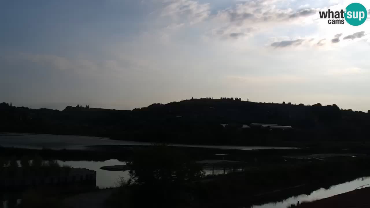 Krajinski park Strunjan v živo