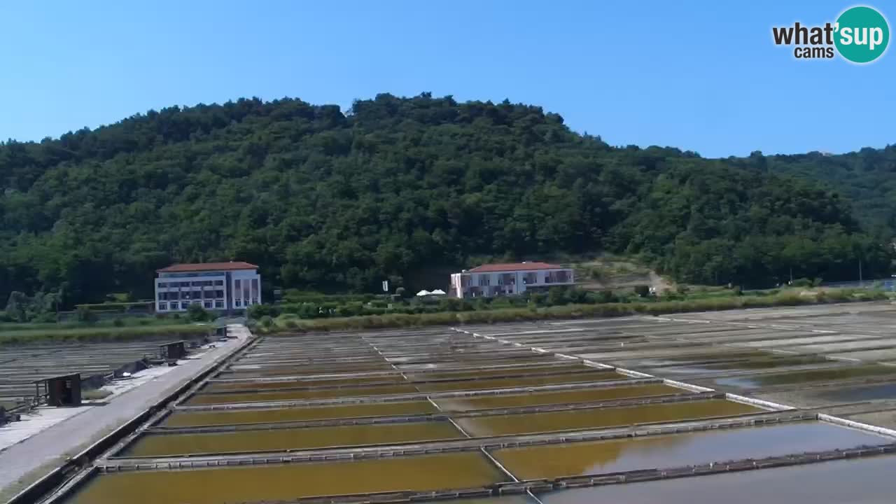 Krajinski park Strunjan u živo