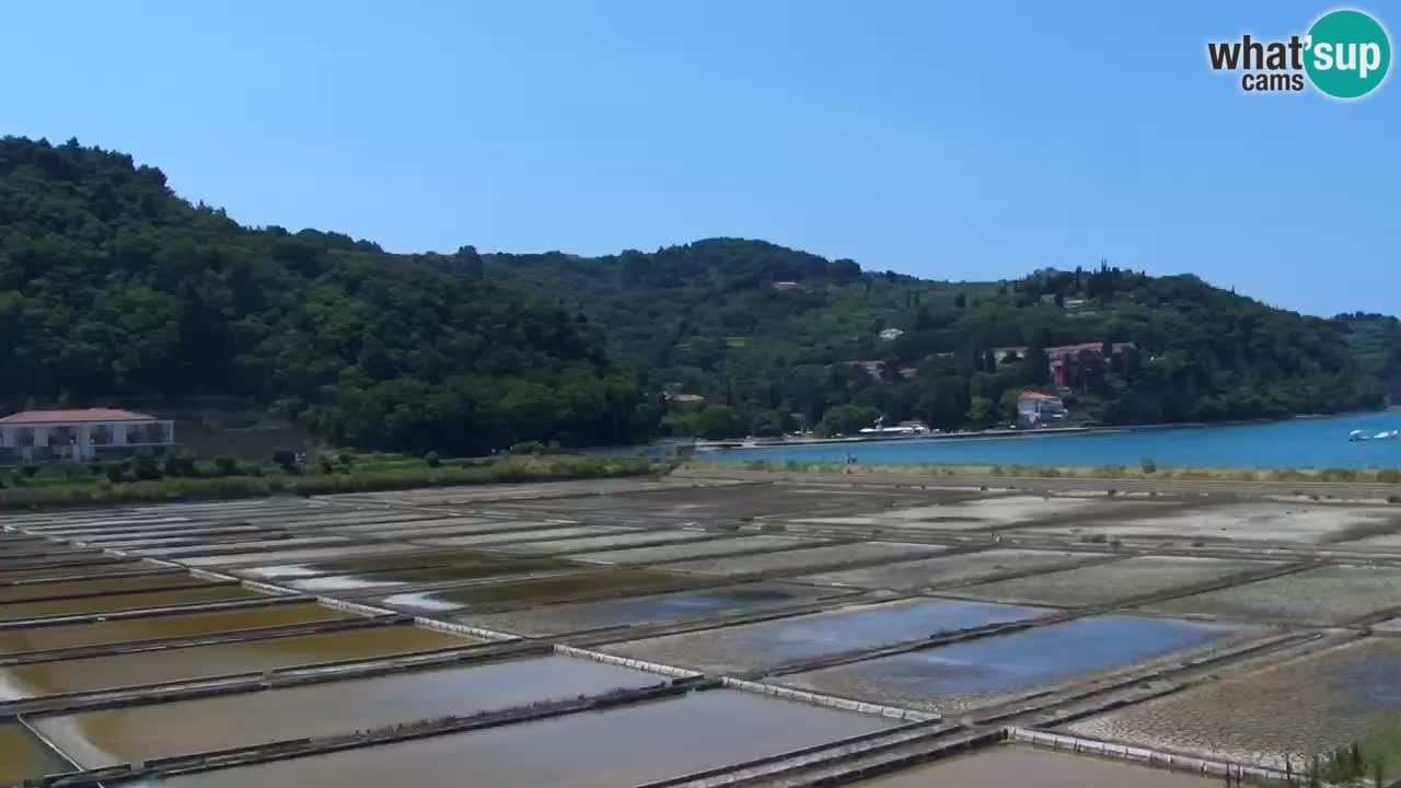 Parco naturale Strugnano