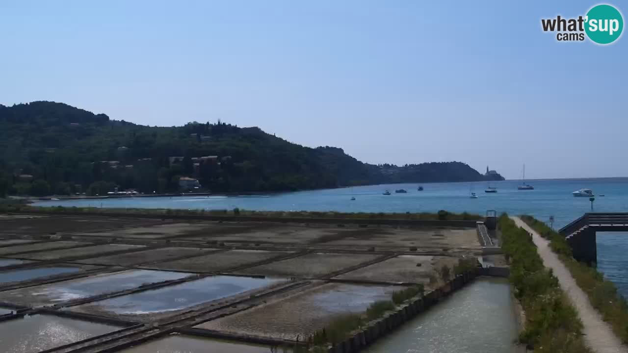 Krajinski park Strunjan