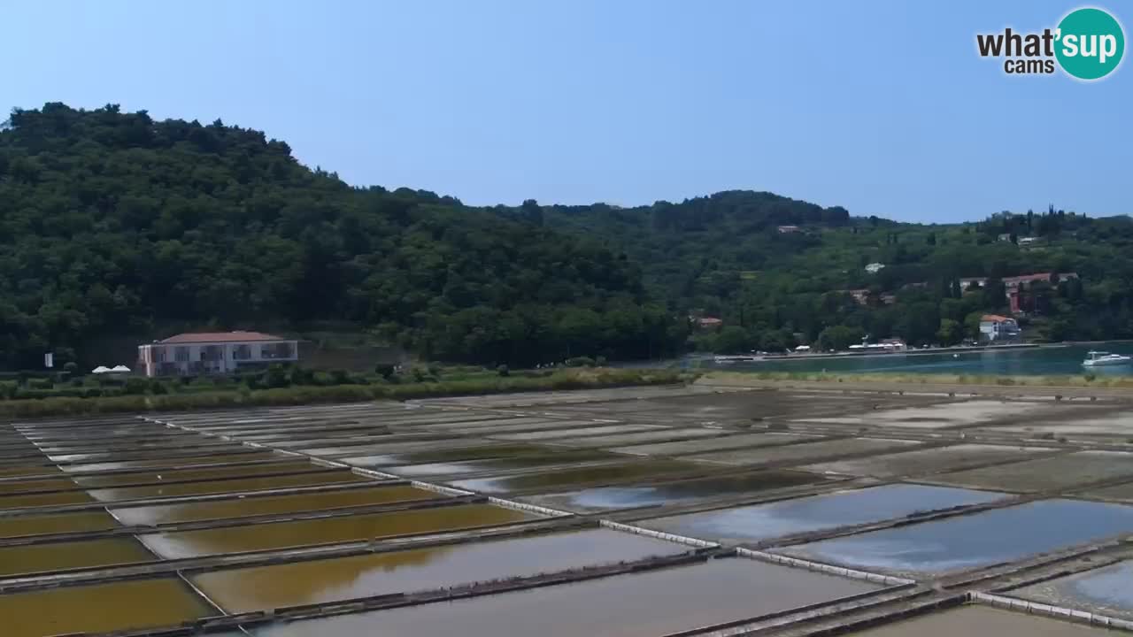 Krajinski park Strunjan