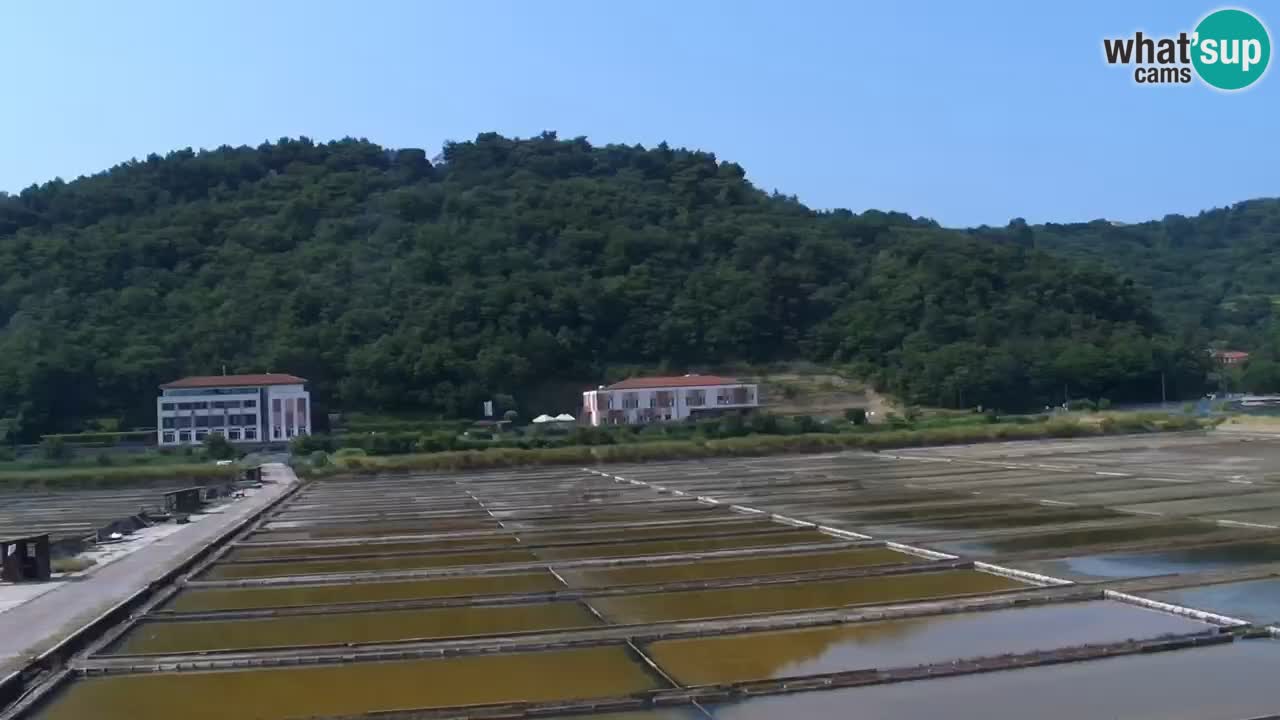 Krajinski park Strunjan