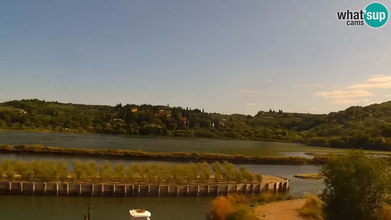 Krajinski park Strunjan v živo