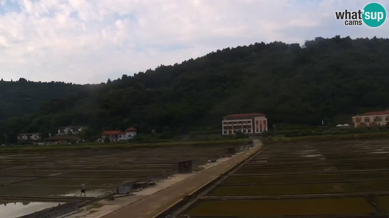 Krajinski park Strunjan v živo