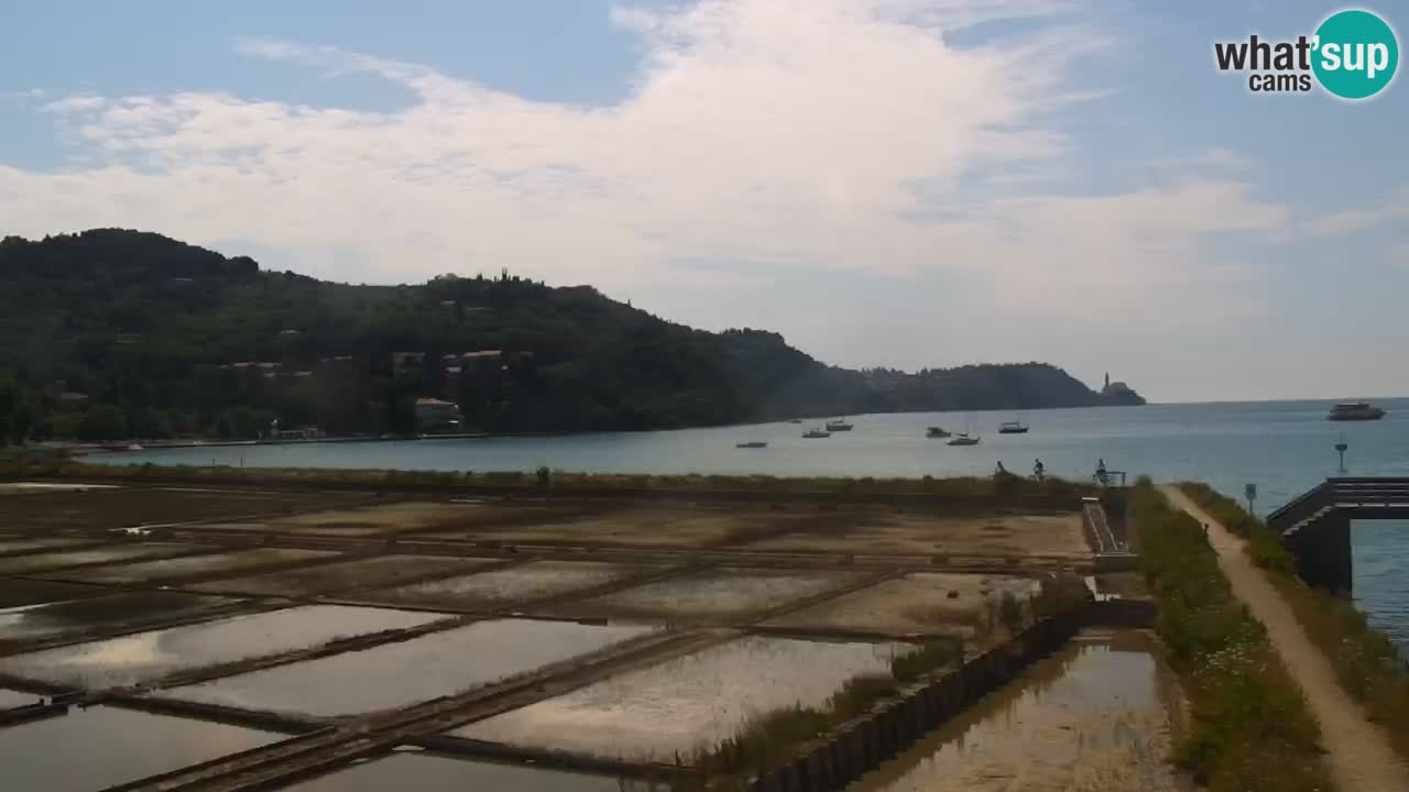 Krajinski park Strunjan