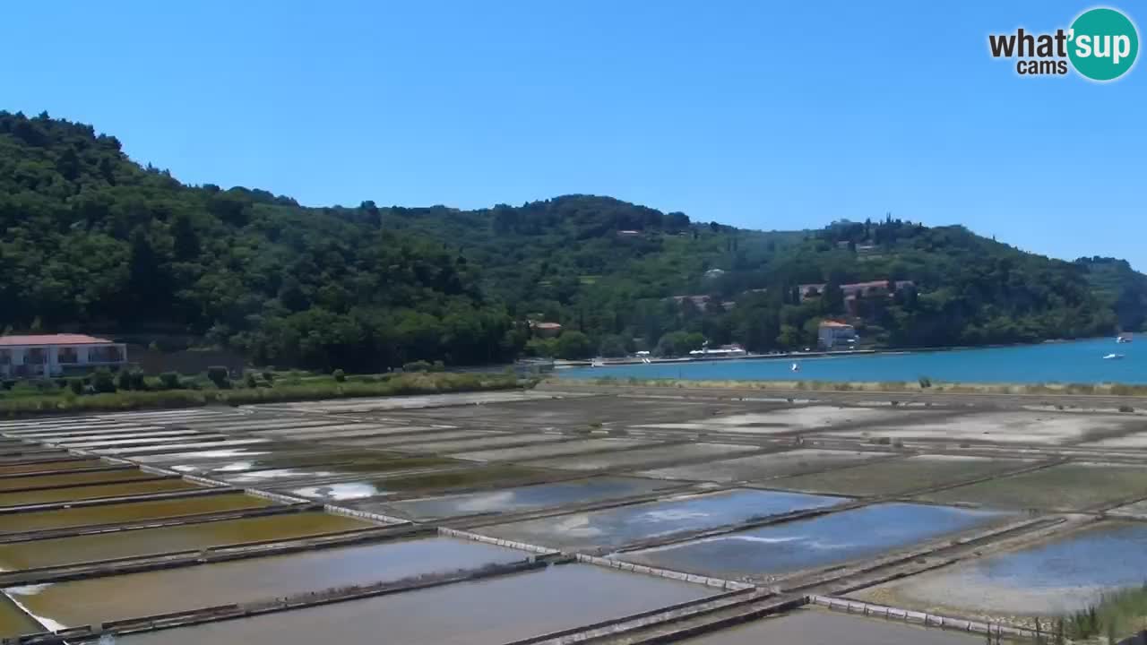 Krajinski park Strunjan