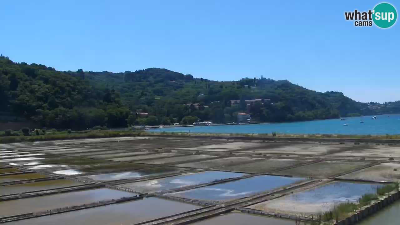 Krajinski park Strunjan