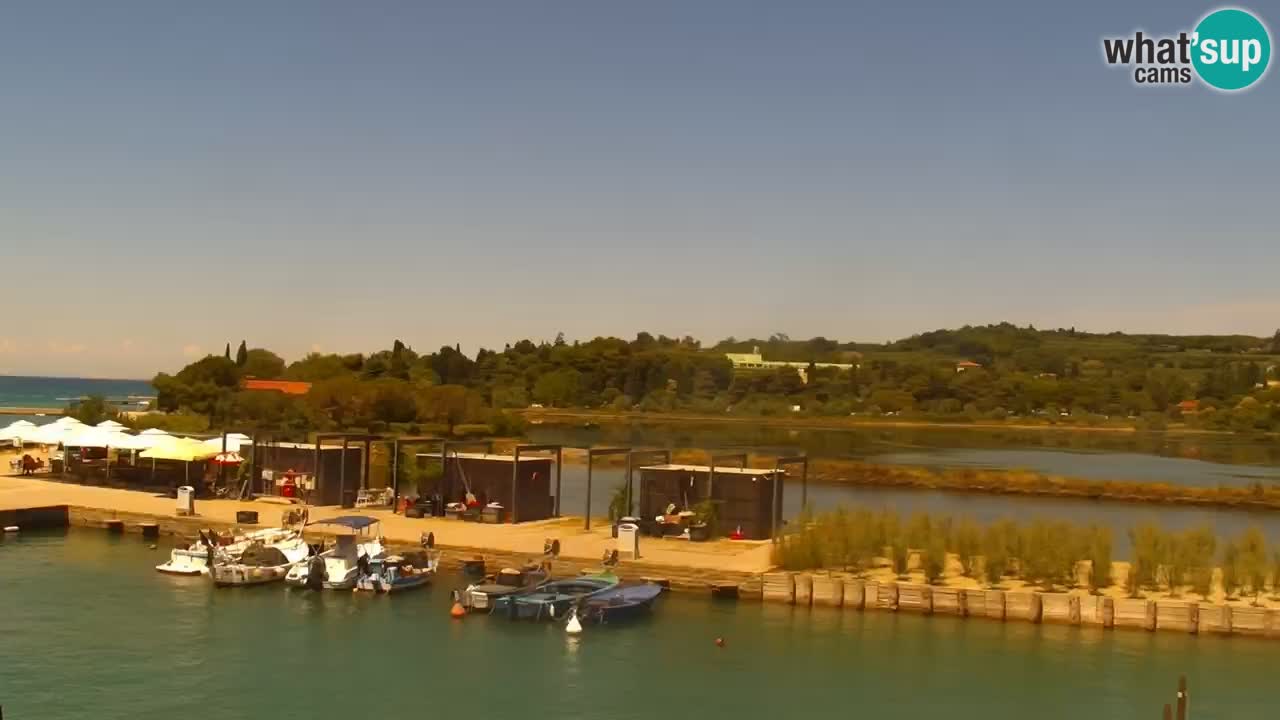 Krajinski park Strunjan u živo