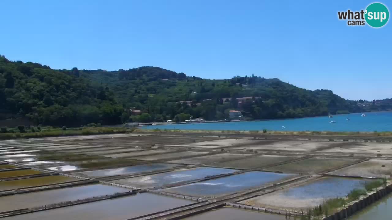 Krajinski park Strunjan