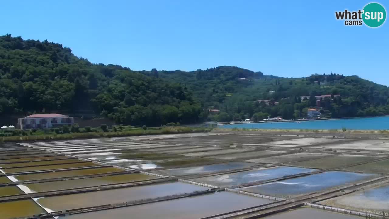 Krajinski park Strunjan