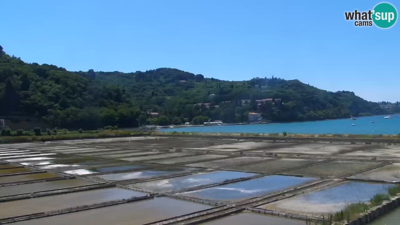 Krajinski park Strunjan