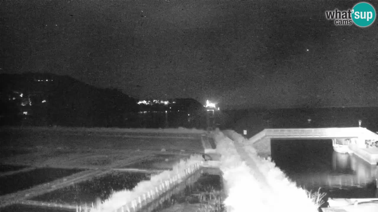 Krajinski park Strunjan