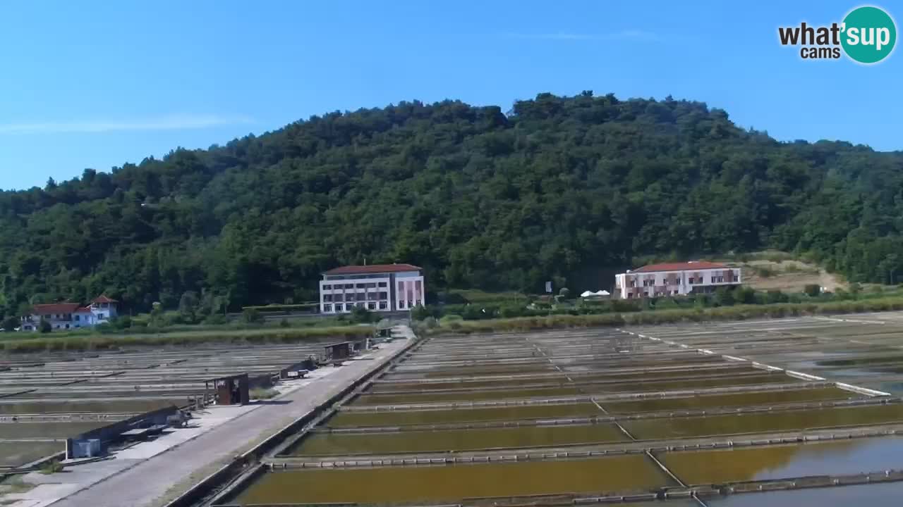 Krajinski park Strunjan