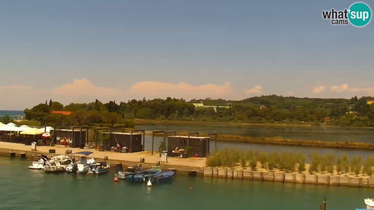 Krajinski park Strunjan v živo