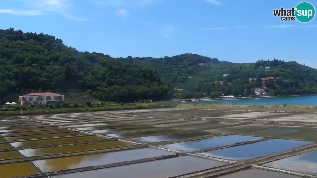 Krajinski park Strunjan