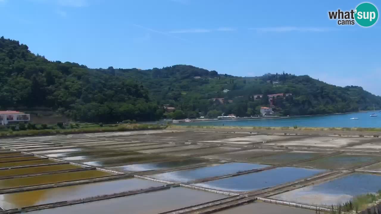 Krajinski park Strunjan