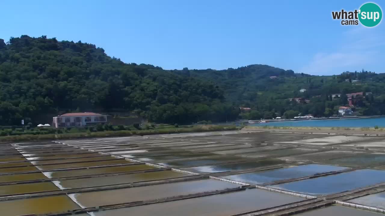 Krajinski park Strunjan