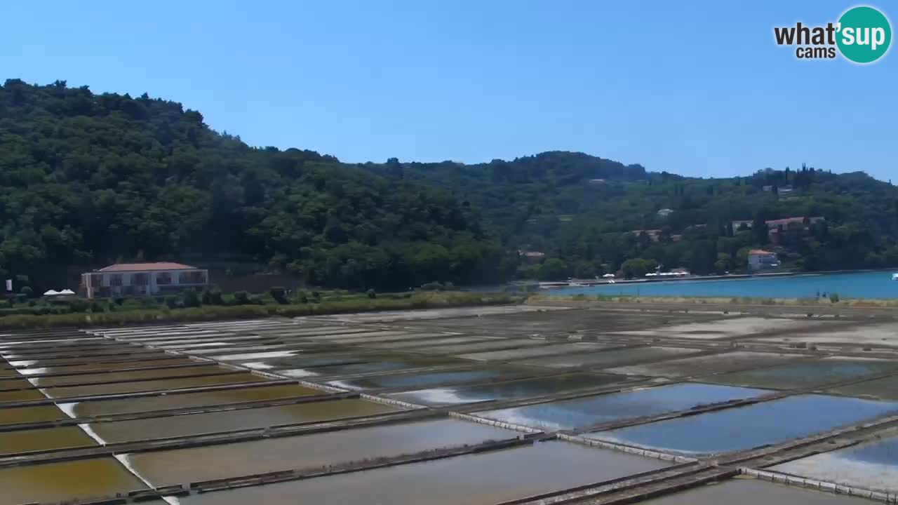 Krajinski park Strunjan u živo