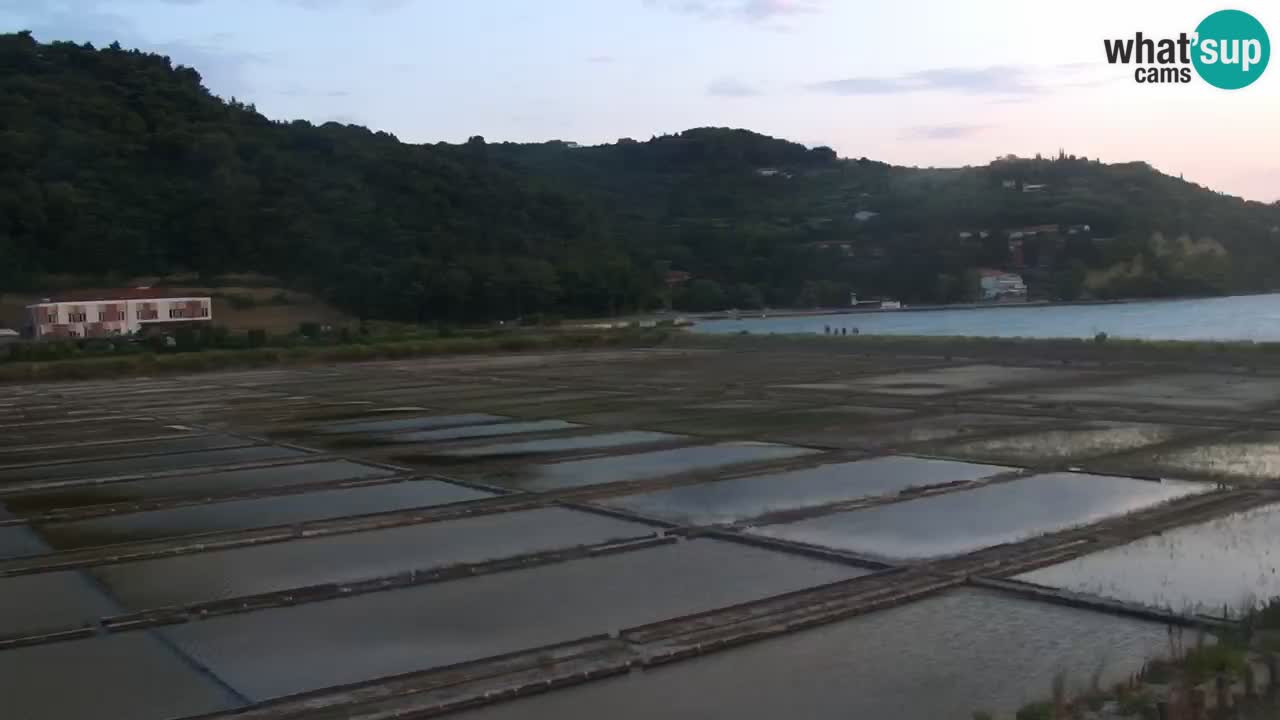 Krajinski park Strunjan