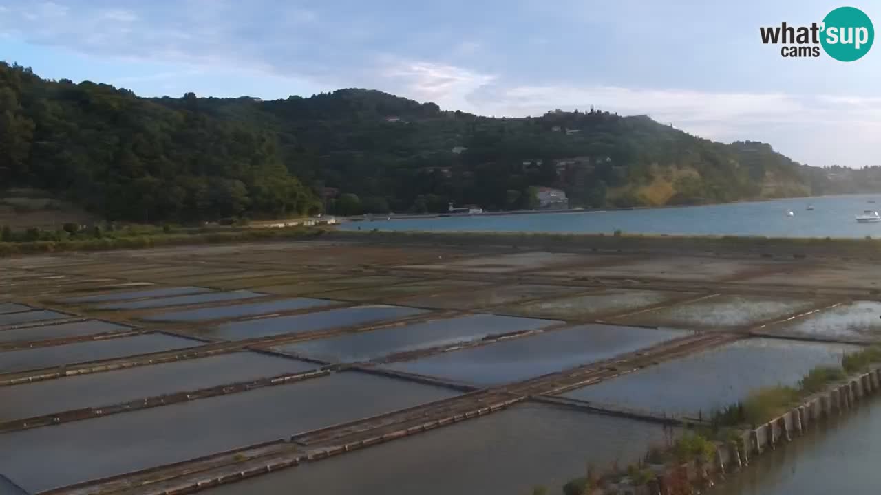 Krajinski park Strunjan