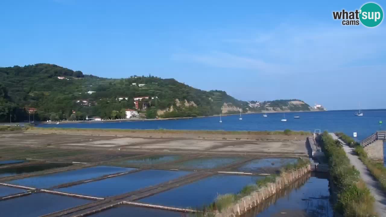 Krajinski park Strunjan