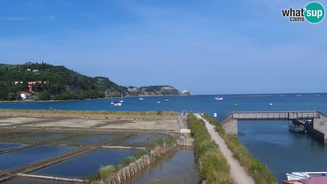 Krajinski park Strunjan