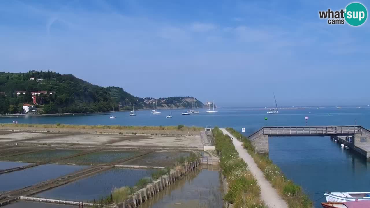 Krajinski park Strunjan
