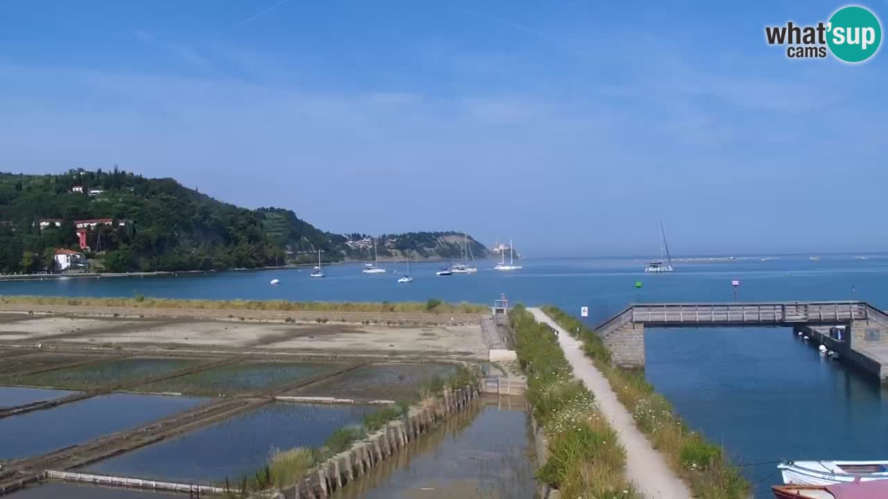 Krajinski park Strunjan