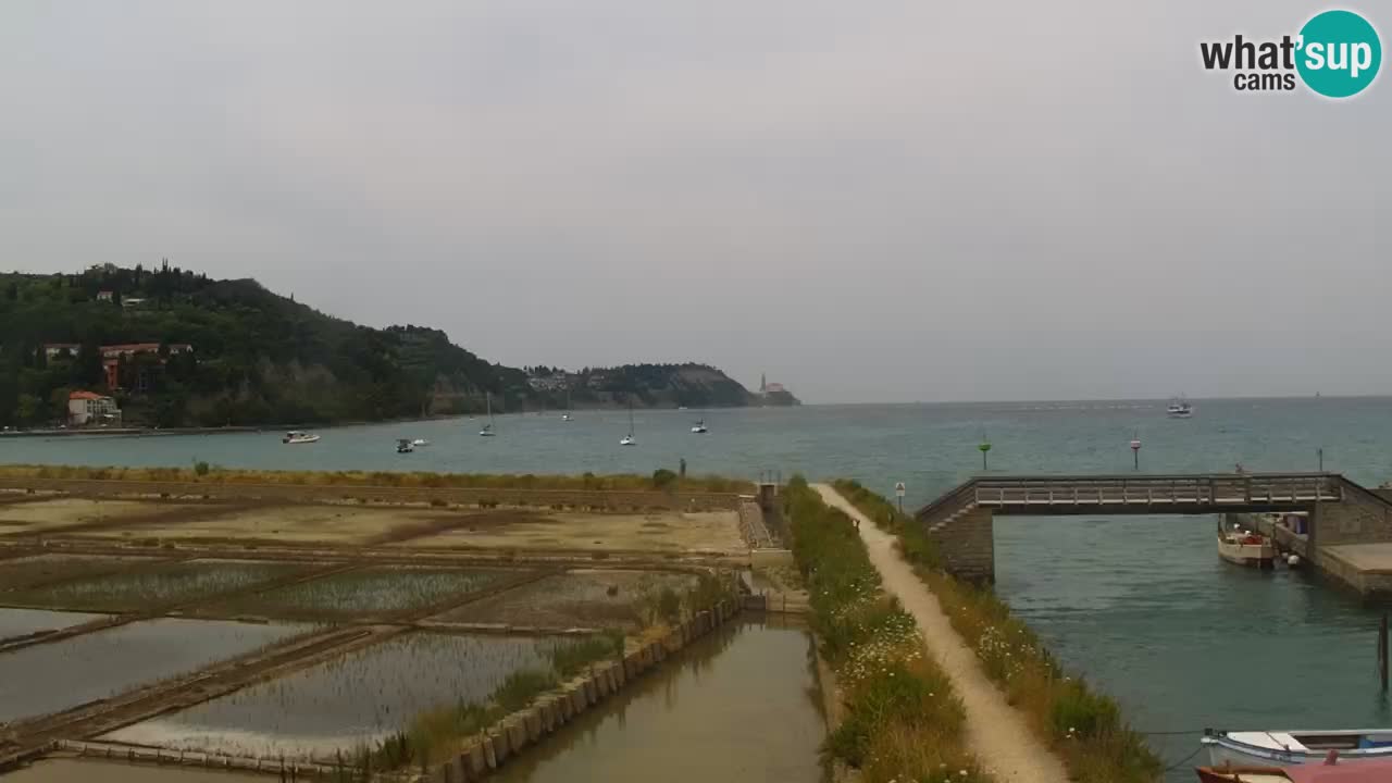 Krajinski park Strunjan