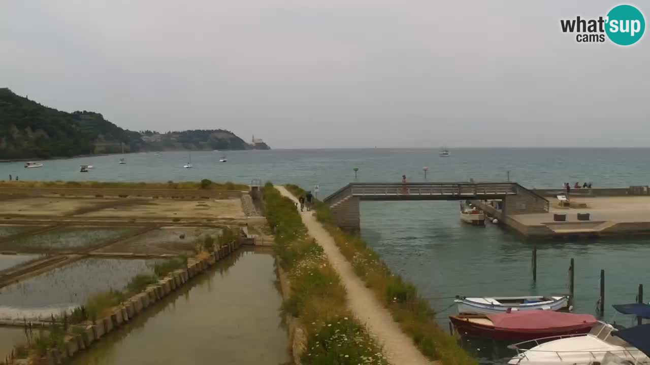 Krajinski park Strunjan