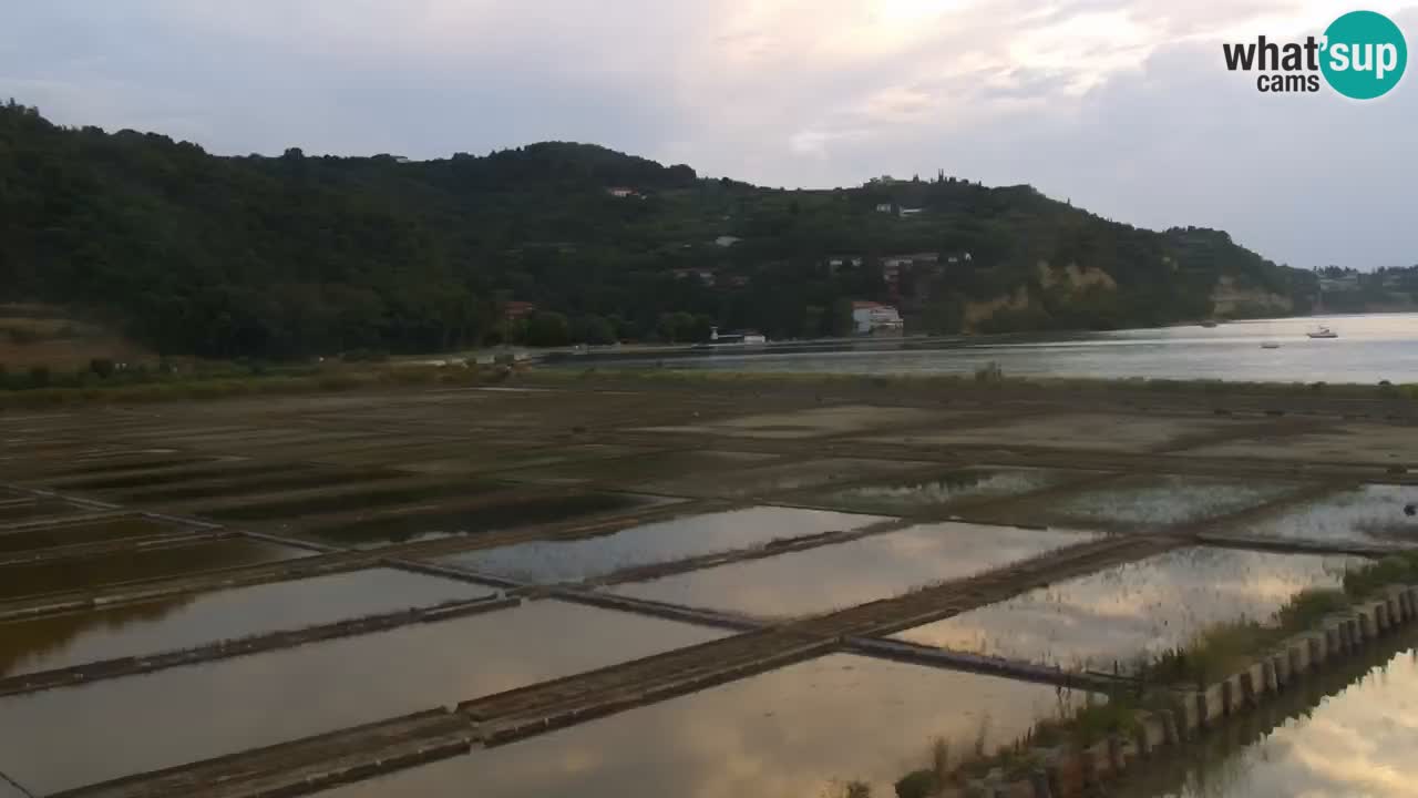 Krajinski park Strunjan